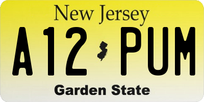 NJ license plate A12PUM