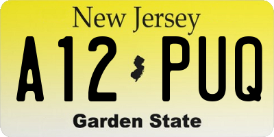 NJ license plate A12PUQ