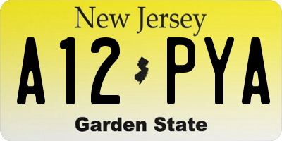 NJ license plate A12PYA