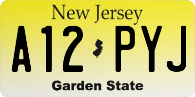NJ license plate A12PYJ