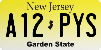 NJ license plate A12PYS