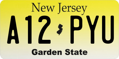 NJ license plate A12PYU