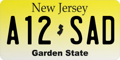 NJ license plate A12SAD