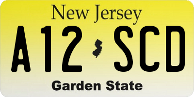 NJ license plate A12SCD