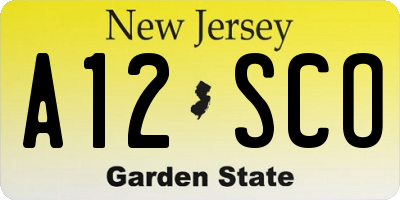 NJ license plate A12SCO