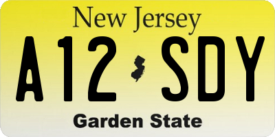 NJ license plate A12SDY