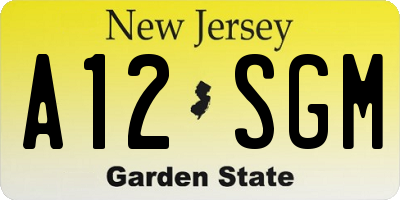 NJ license plate A12SGM