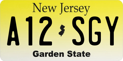 NJ license plate A12SGY