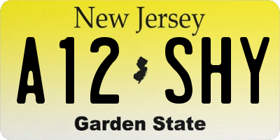NJ license plate A12SHY