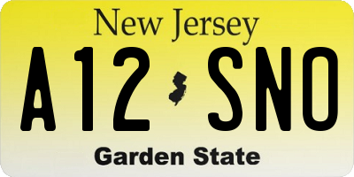 NJ license plate A12SNO