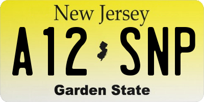 NJ license plate A12SNP