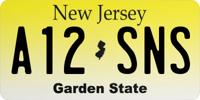 NJ license plate A12SNS