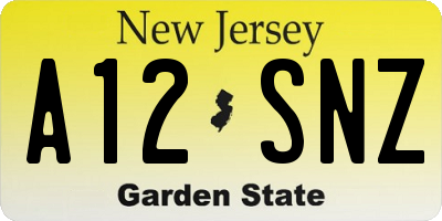 NJ license plate A12SNZ