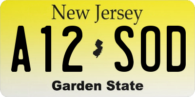 NJ license plate A12SOD