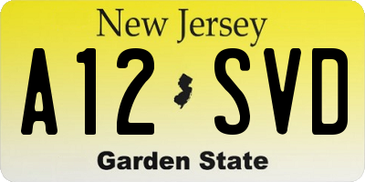NJ license plate A12SVD