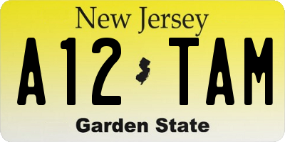 NJ license plate A12TAM
