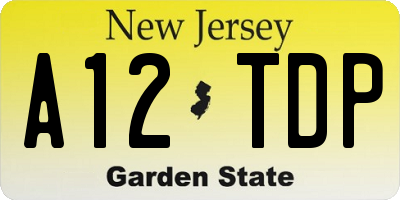 NJ license plate A12TDP