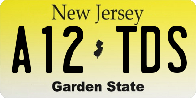 NJ license plate A12TDS