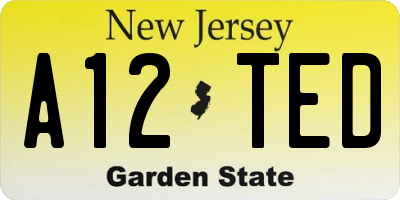 NJ license plate A12TED