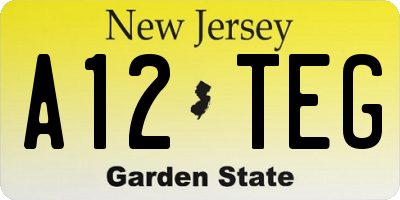 NJ license plate A12TEG