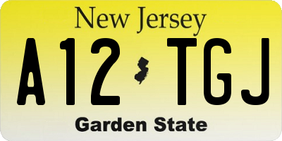 NJ license plate A12TGJ