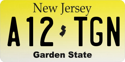 NJ license plate A12TGN