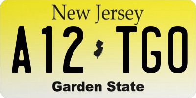NJ license plate A12TGO