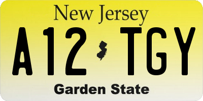NJ license plate A12TGY