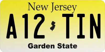 NJ license plate A12TIN