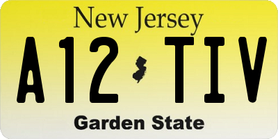 NJ license plate A12TIV