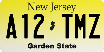 NJ license plate A12TMZ