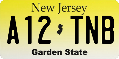 NJ license plate A12TNB