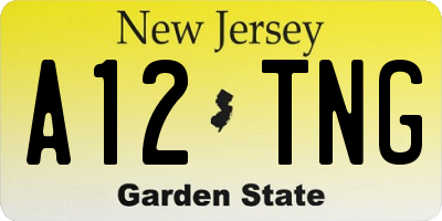 NJ license plate A12TNG