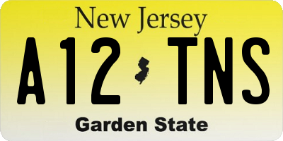 NJ license plate A12TNS