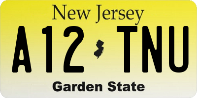 NJ license plate A12TNU