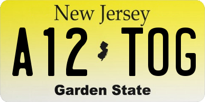 NJ license plate A12TOG