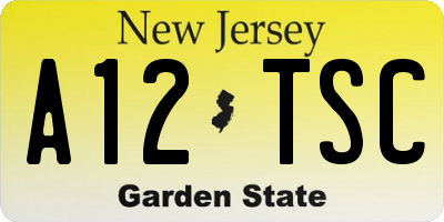 NJ license plate A12TSC