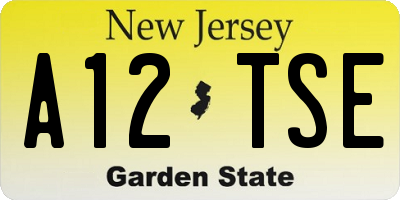 NJ license plate A12TSE