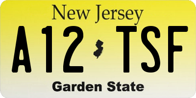 NJ license plate A12TSF