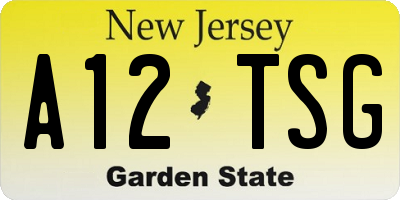 NJ license plate A12TSG