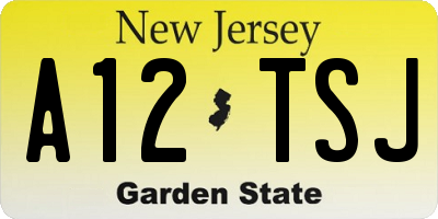 NJ license plate A12TSJ