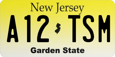 NJ license plate A12TSM