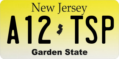 NJ license plate A12TSP