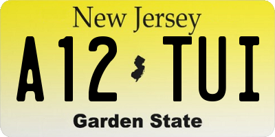 NJ license plate A12TUI