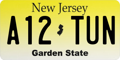 NJ license plate A12TUN