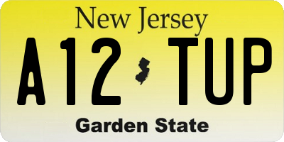 NJ license plate A12TUP