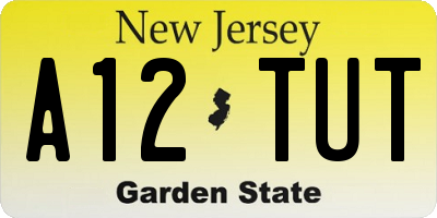 NJ license plate A12TUT