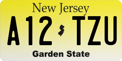 NJ license plate A12TZU