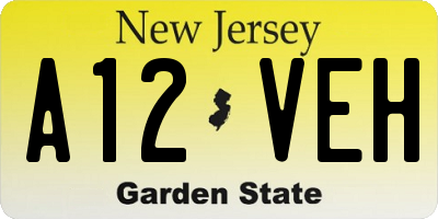 NJ license plate A12VEH