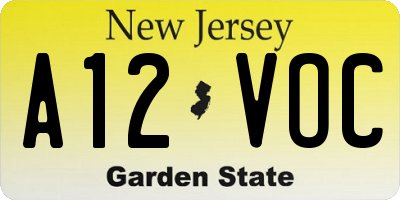NJ license plate A12VOC